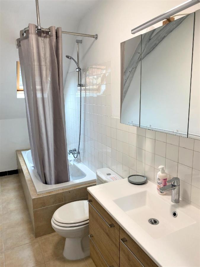Le Chant Des Oiseaux, 3Km Du Zoo De Beauval, Parking Gratuit ,Wifi Et Netflix Gratuits Saint-Aignan (Loir-et-Cher) Exterior foto