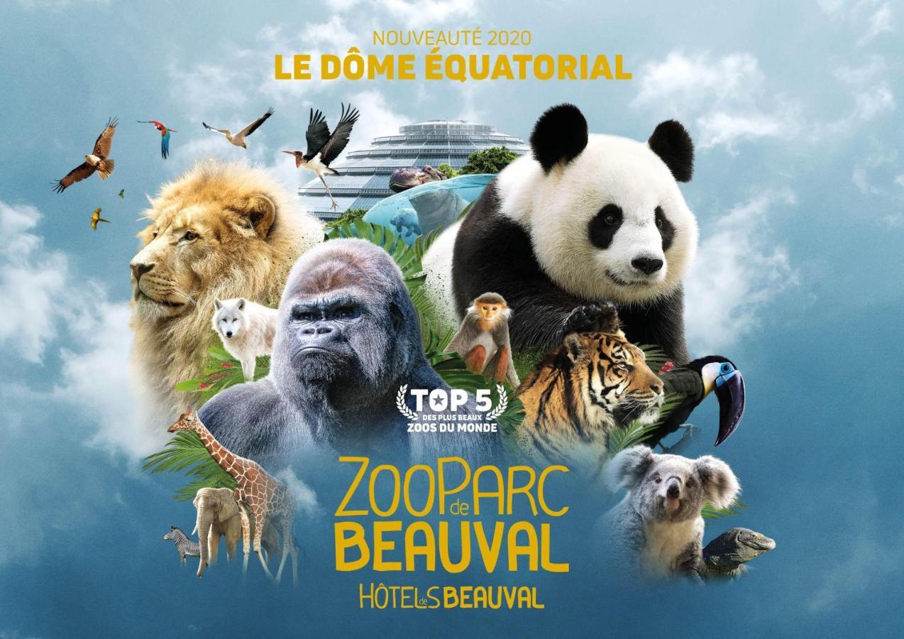 Le Chant Des Oiseaux, 3Km Du Zoo De Beauval, Parking Gratuit ,Wifi Et Netflix Gratuits Saint-Aignan (Loir-et-Cher) Exterior foto